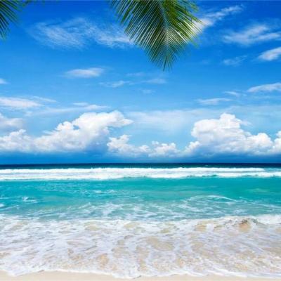 加拿大28下载手机版